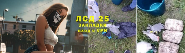 стафф Алексин