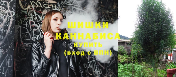 spice Няндома