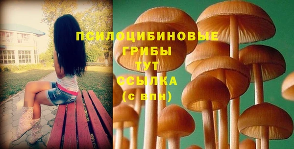 стафф Алексин